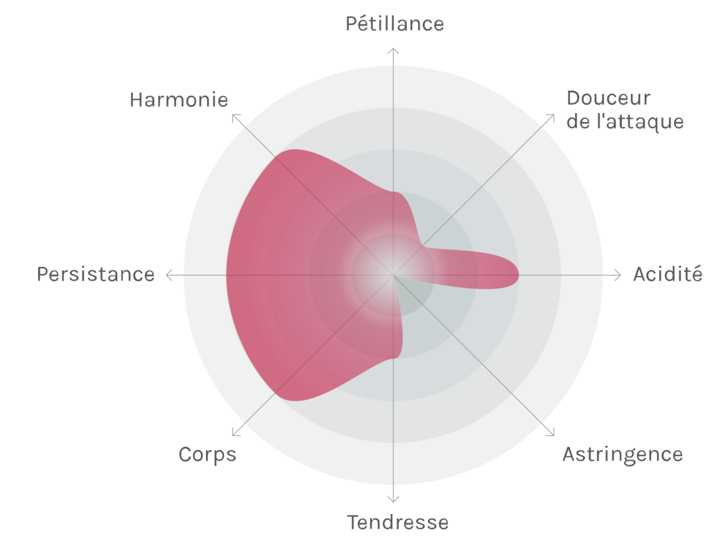 Spinnennetz-Chart