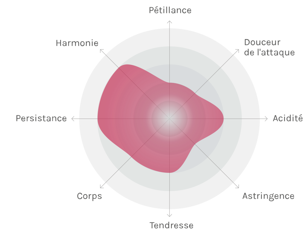 Spinnennetz-Chart