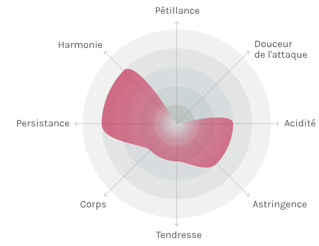 Spinnennetz-Chart