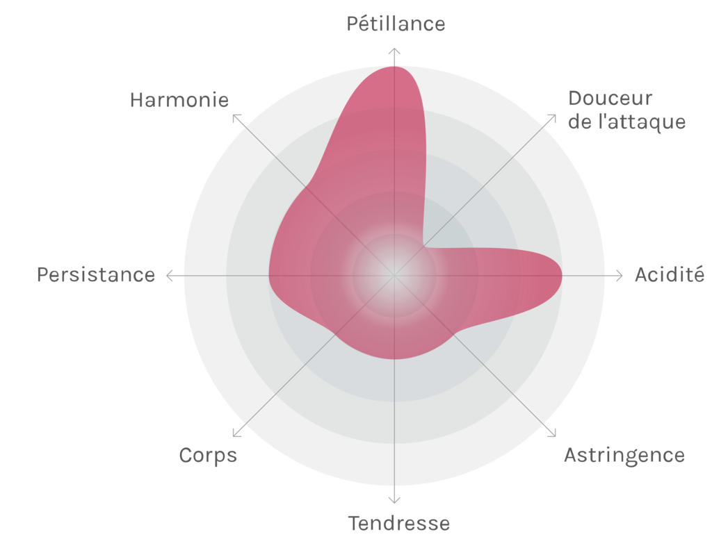 Spinnennetz-Chart