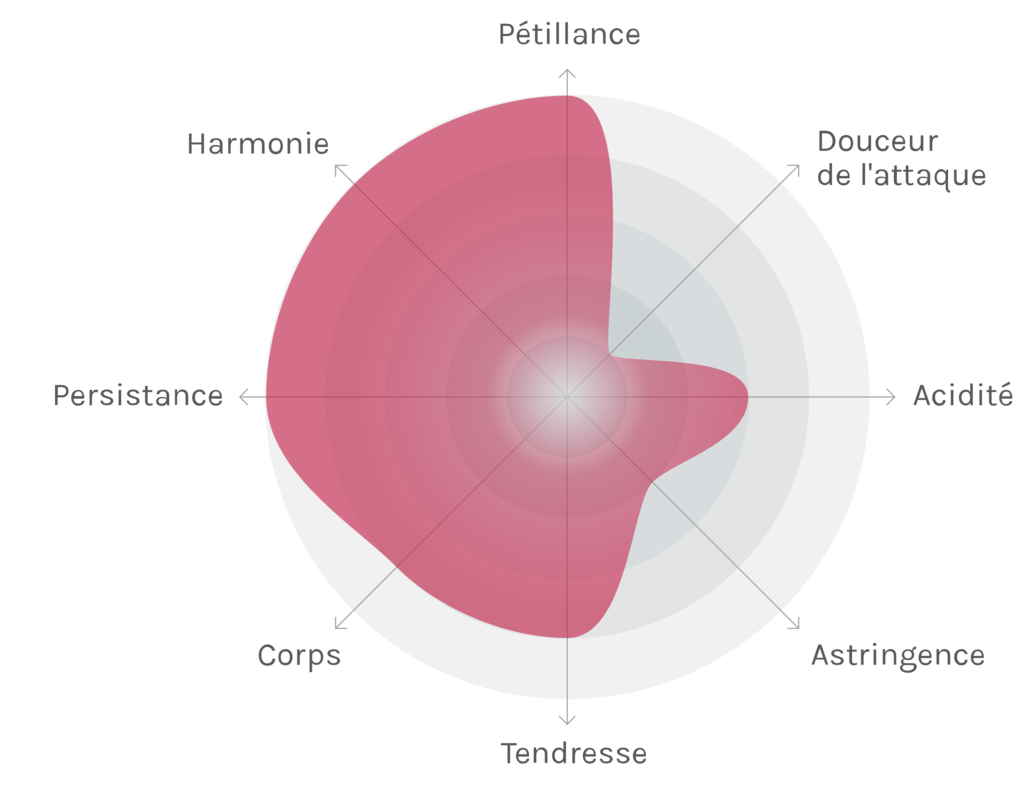 Spinnennetz-Chart