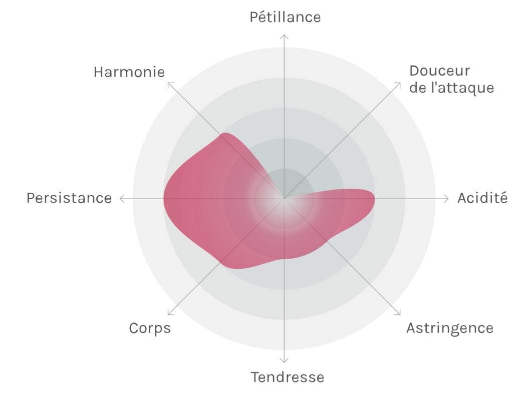 Spinnennetz-Chart