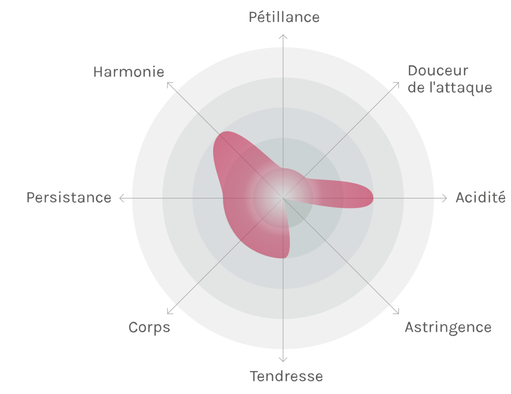 Spinnennetz-Chart