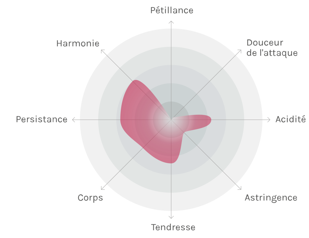 Spinnennetz-Chart