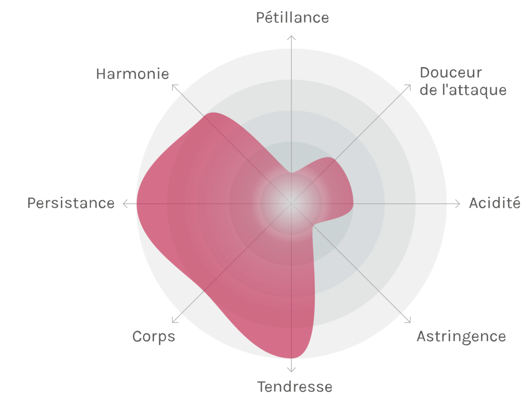 Spinnennetz-Chart