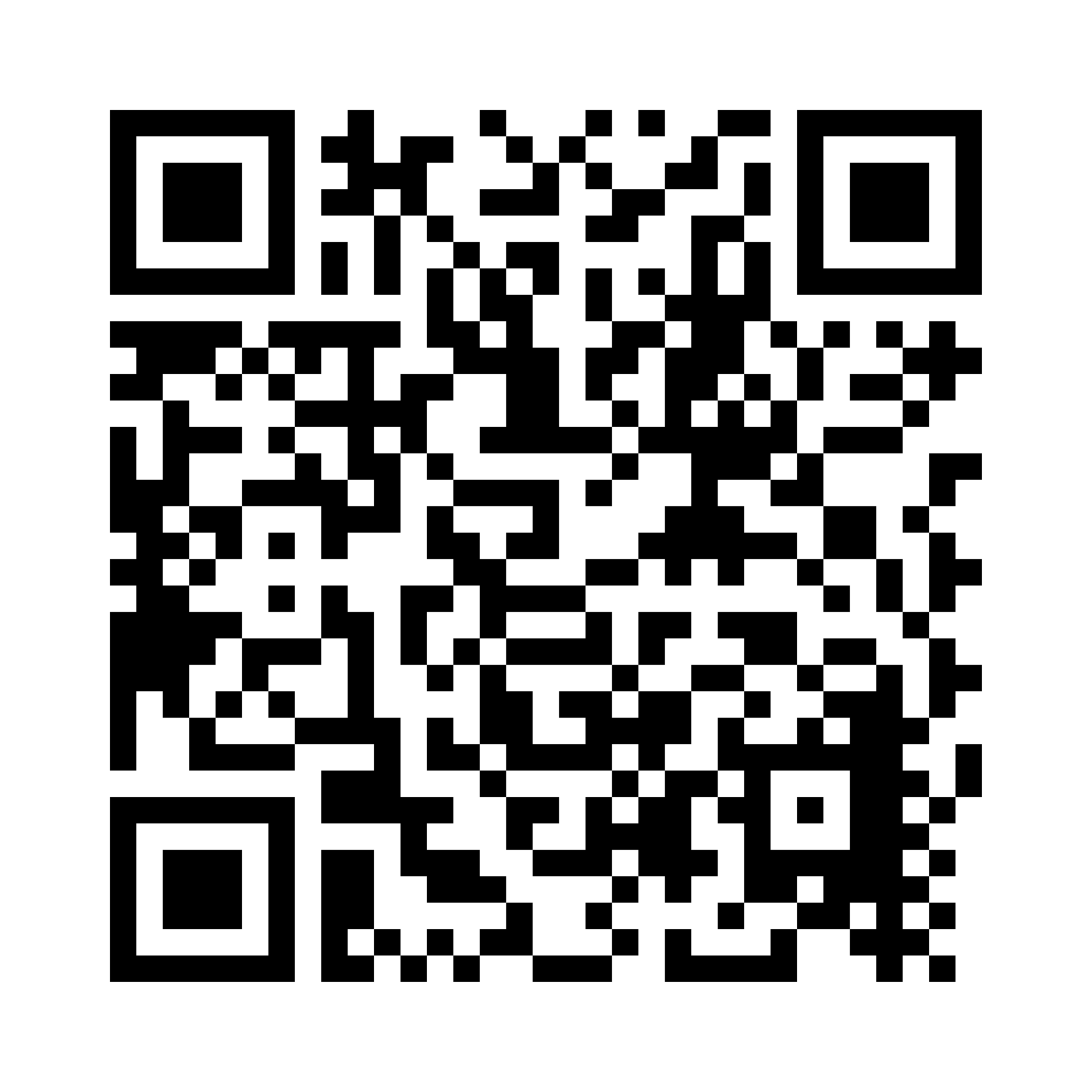 Pinotage Wellington Rückenetikett