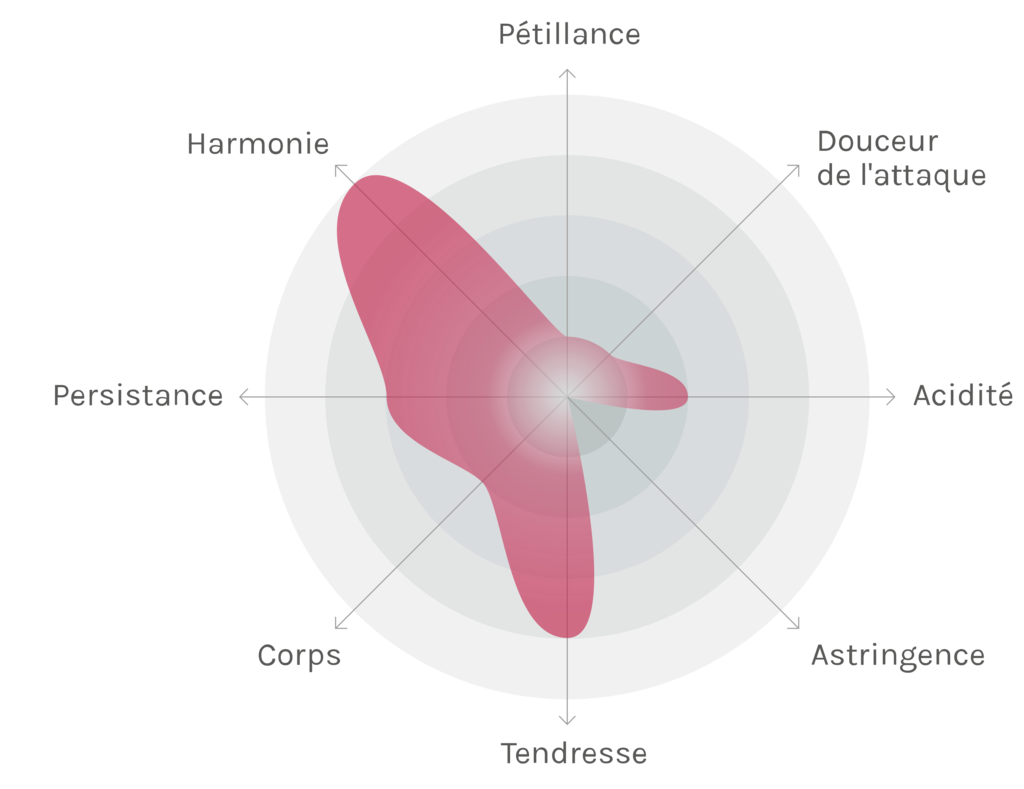 Spinnennetz-Chart