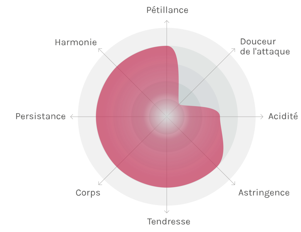 Spinnennetz-Chart