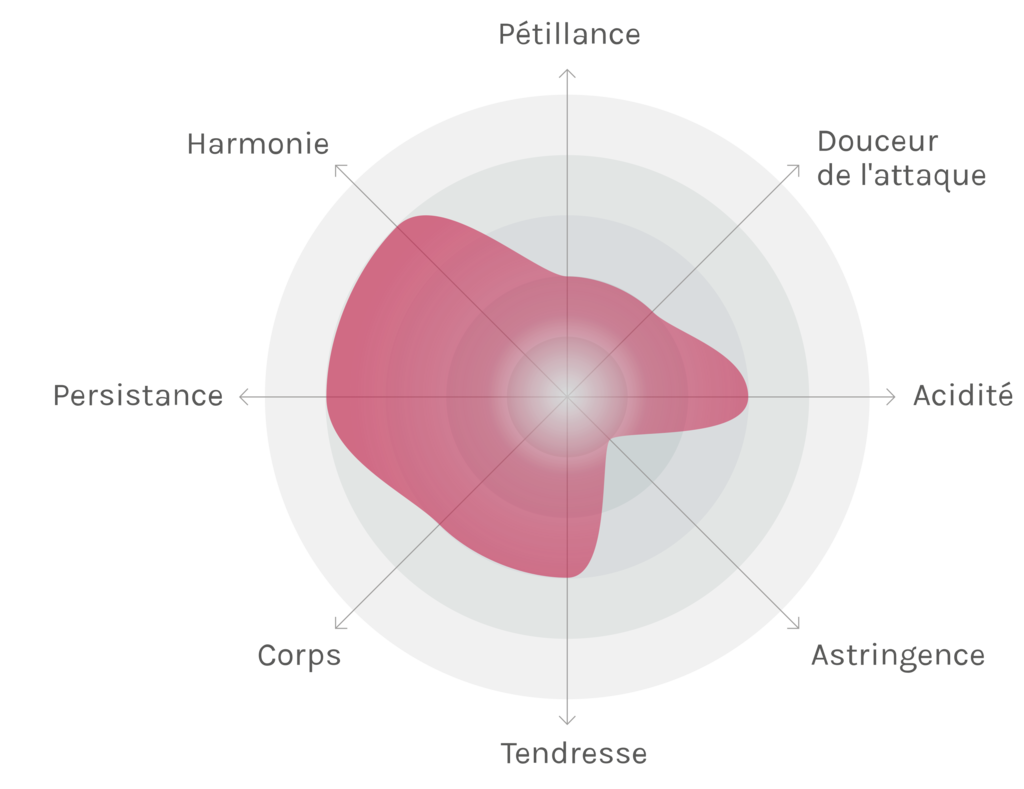 Spinnennetz-Chart