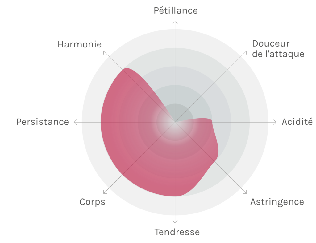 Spinnennetz-Chart