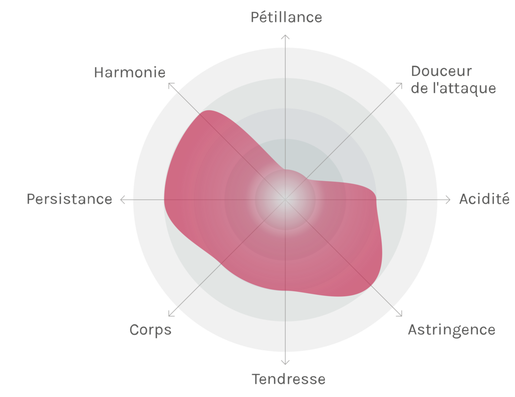 Spinnennetz-Chart