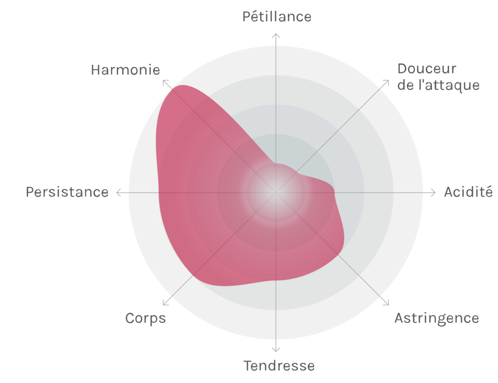 Spinnennetz-Chart