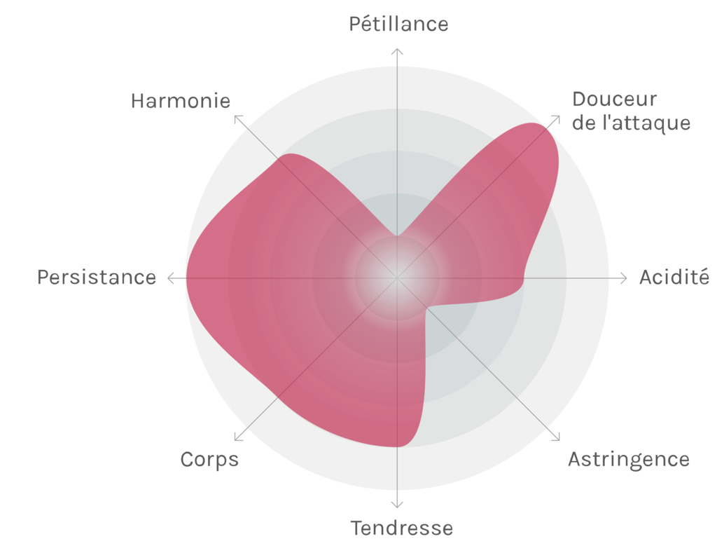 Spinnennetz-Chart