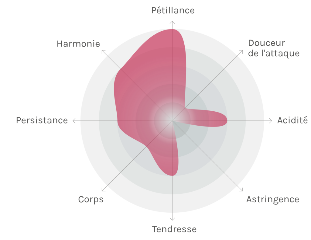 Spinnennetz-Chart