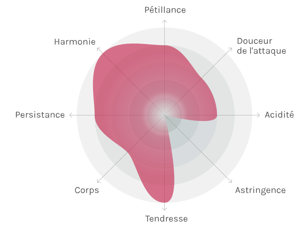 Spinnennetz-Chart