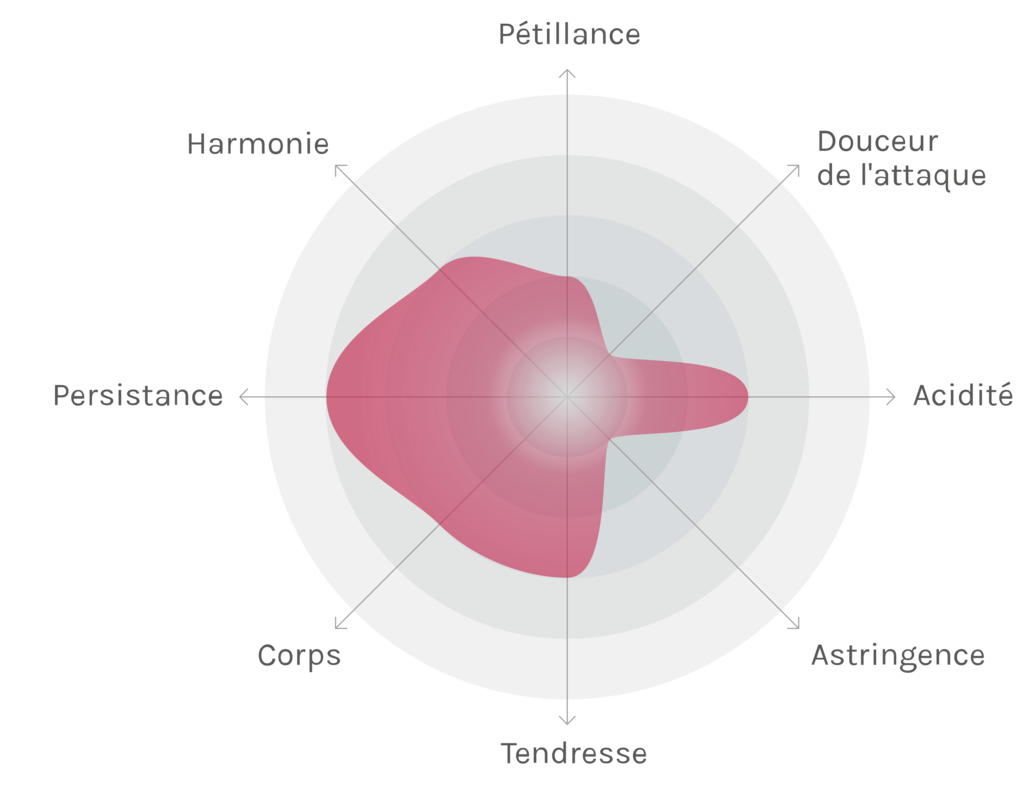 Spinnennetz-Chart