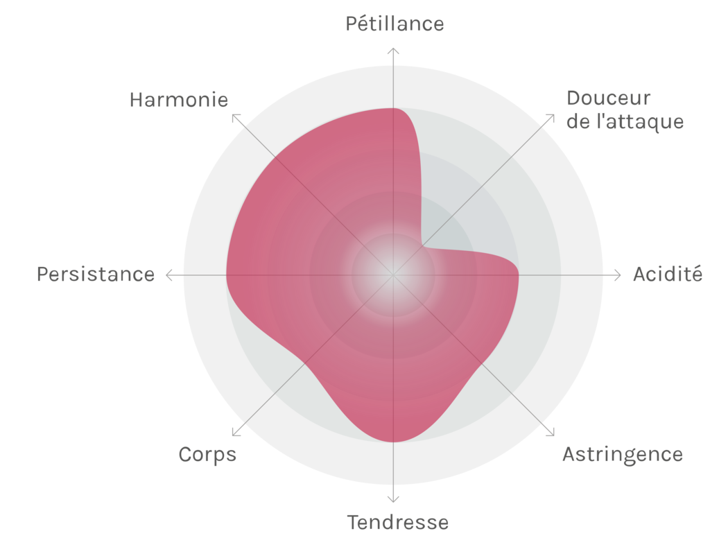 Spinnennetz-Chart