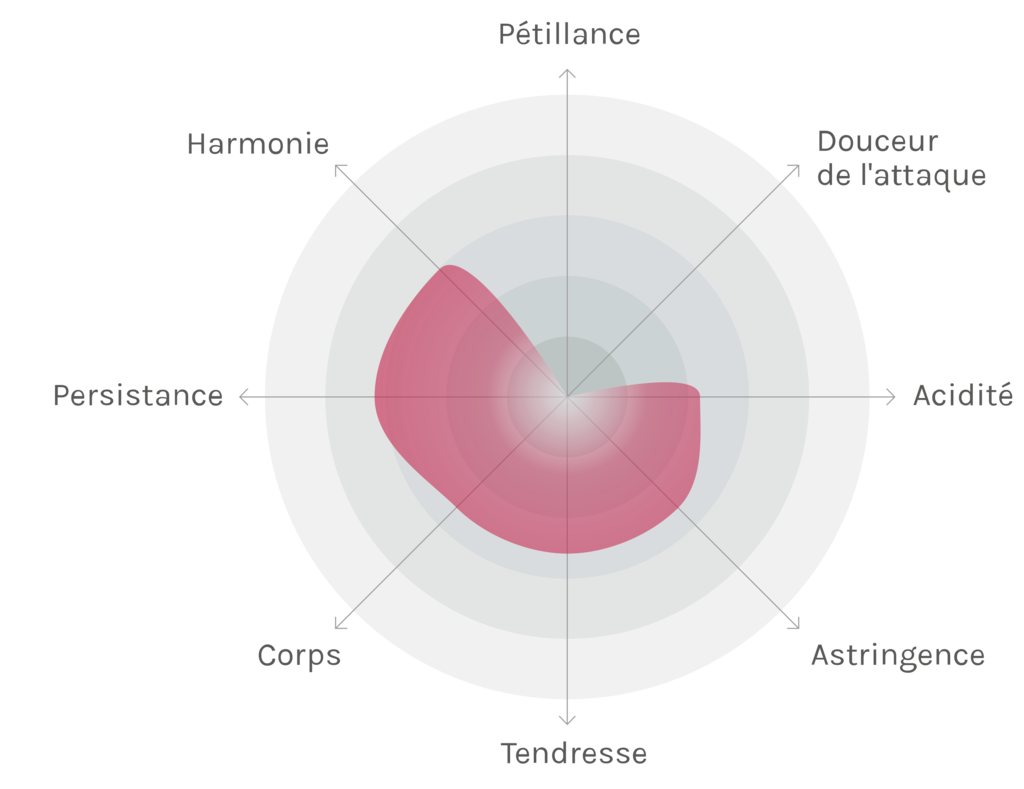 Spinnennetz-Chart