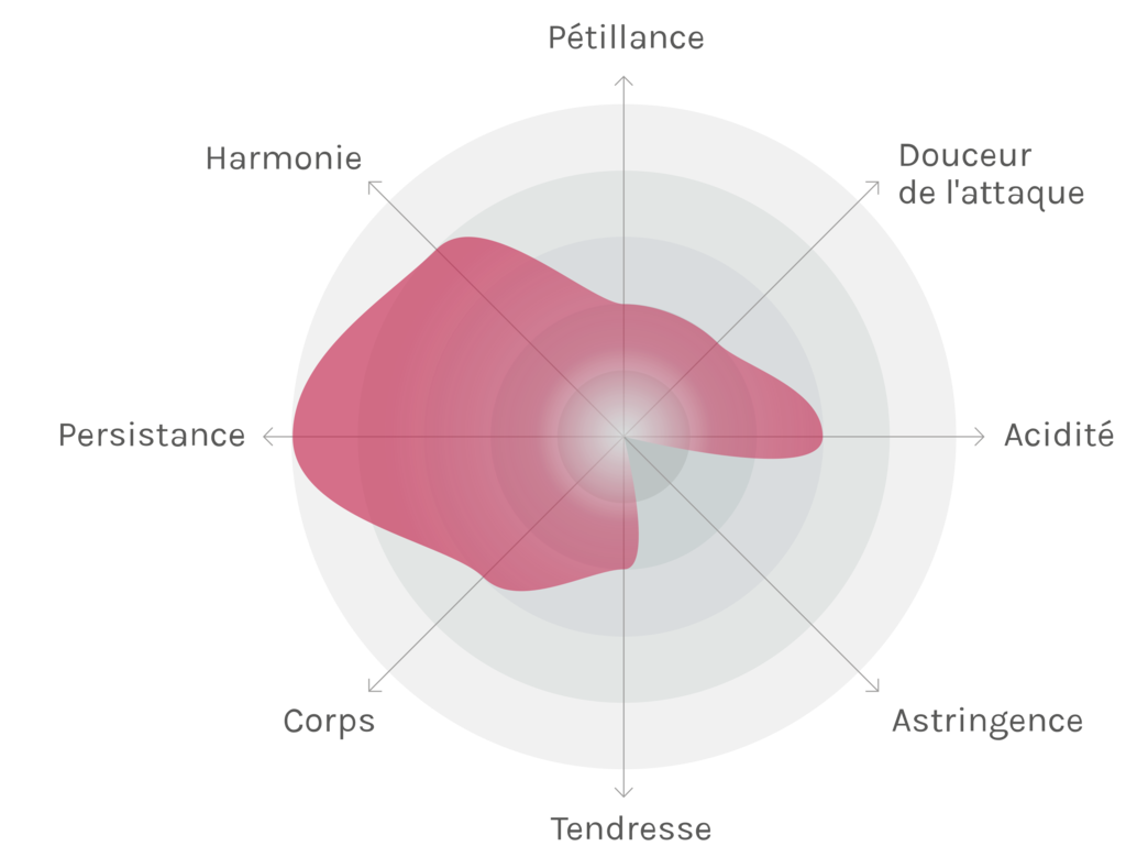 Spinnennetz-Chart