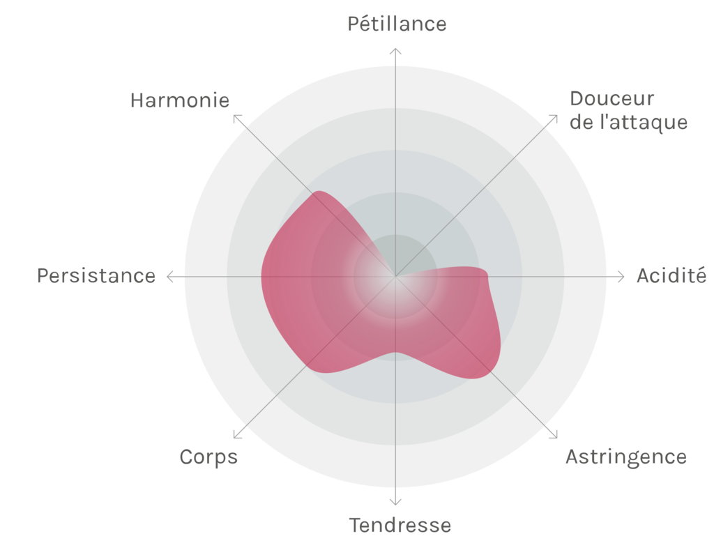 Spinnennetz-Chart