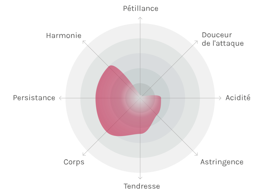 Spinnennetz-Chart