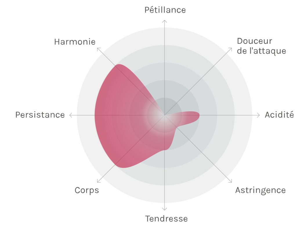 Spinnennetz-Chart