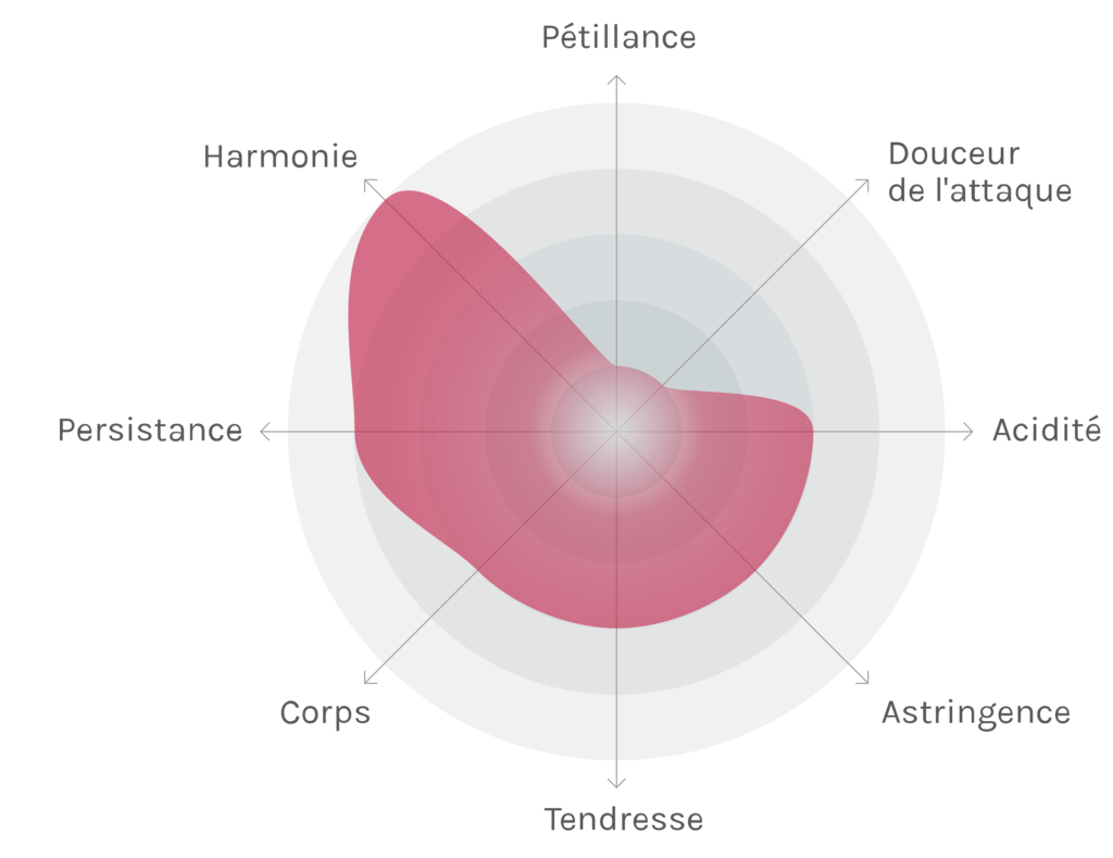 Spinnennetz-Chart