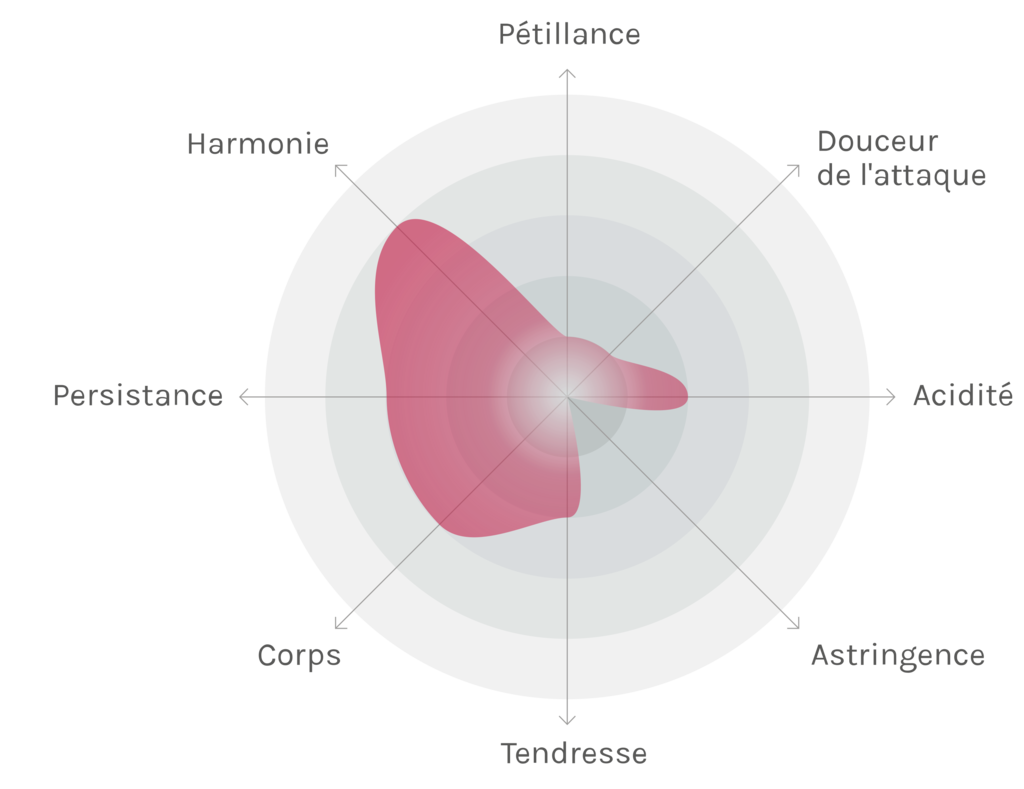 Spinnennetz-Chart
