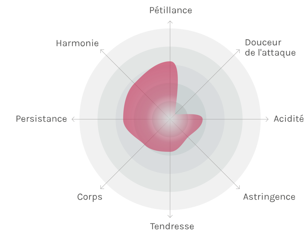 Spinnennetz-Chart