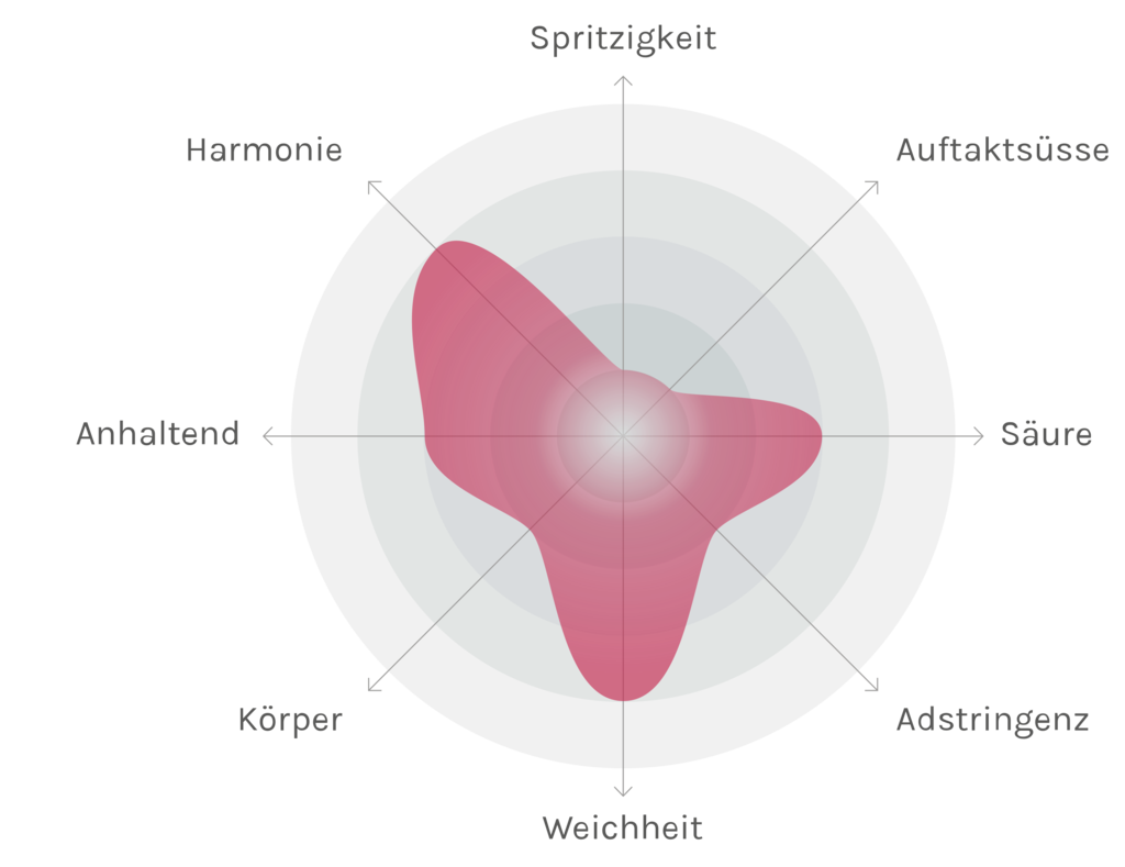 Spinnennetz-Chart