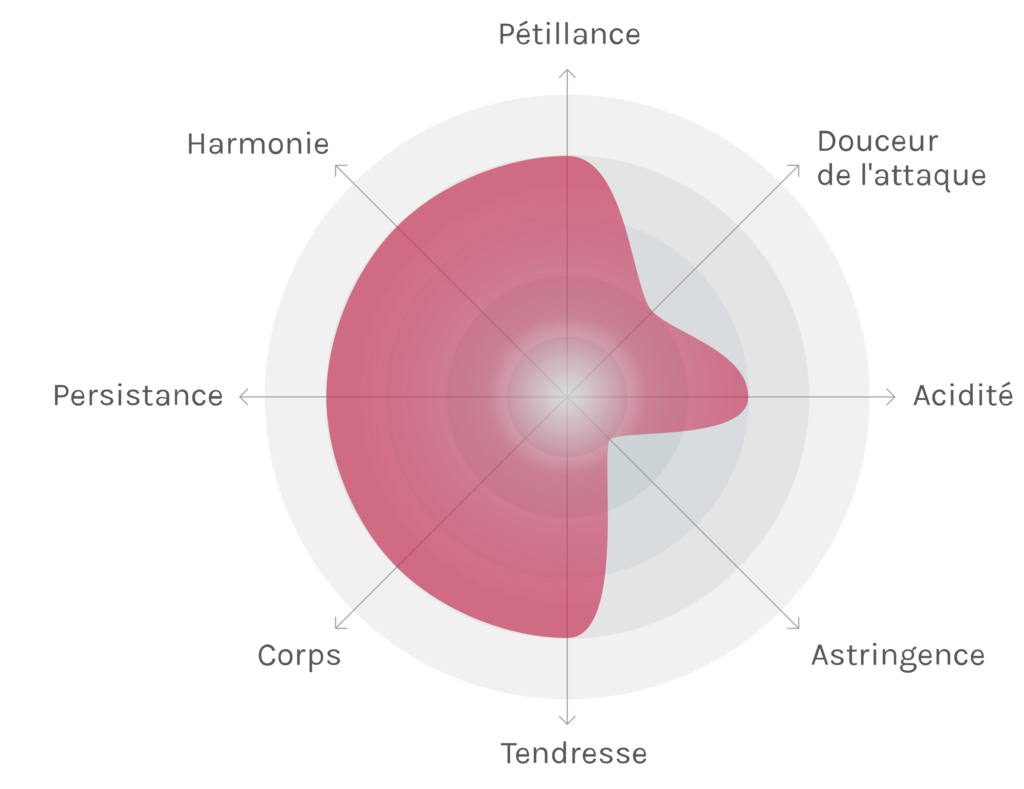 Spinnennetz-Chart