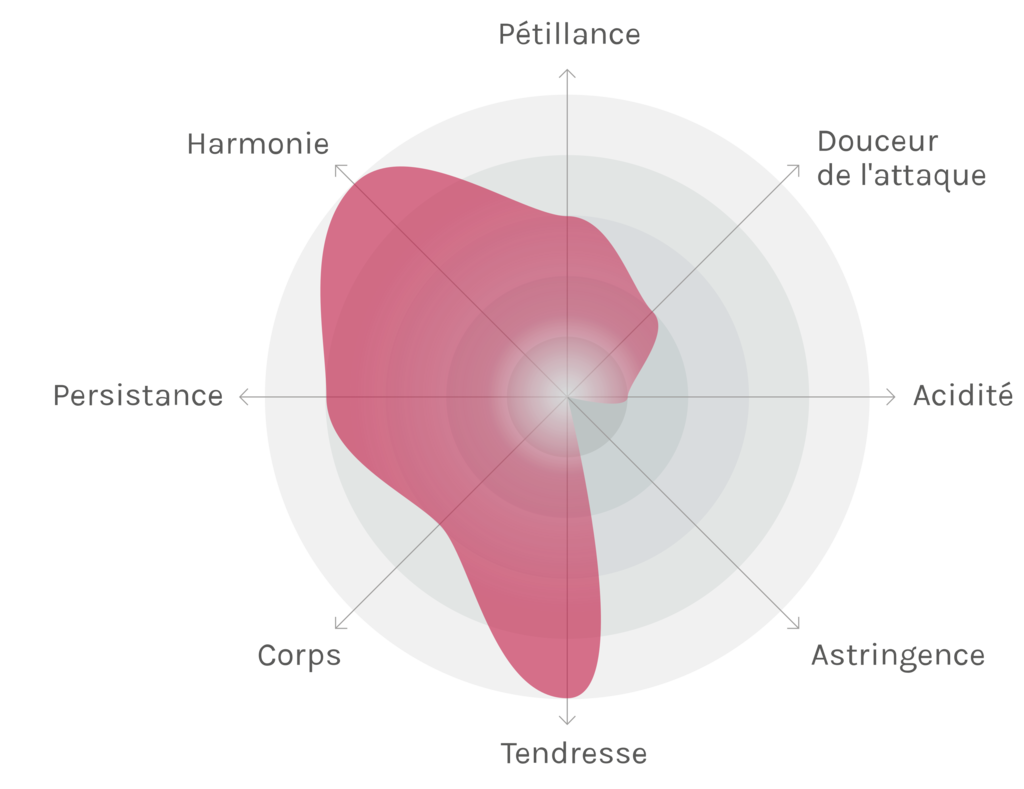 Spinnennetz-Chart