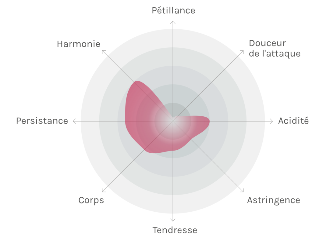 Spinnennetz-Chart