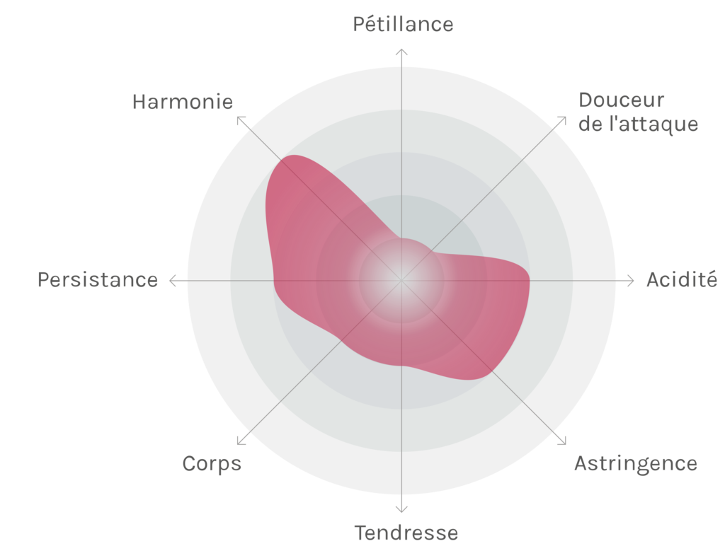 Spinnennetz-Chart