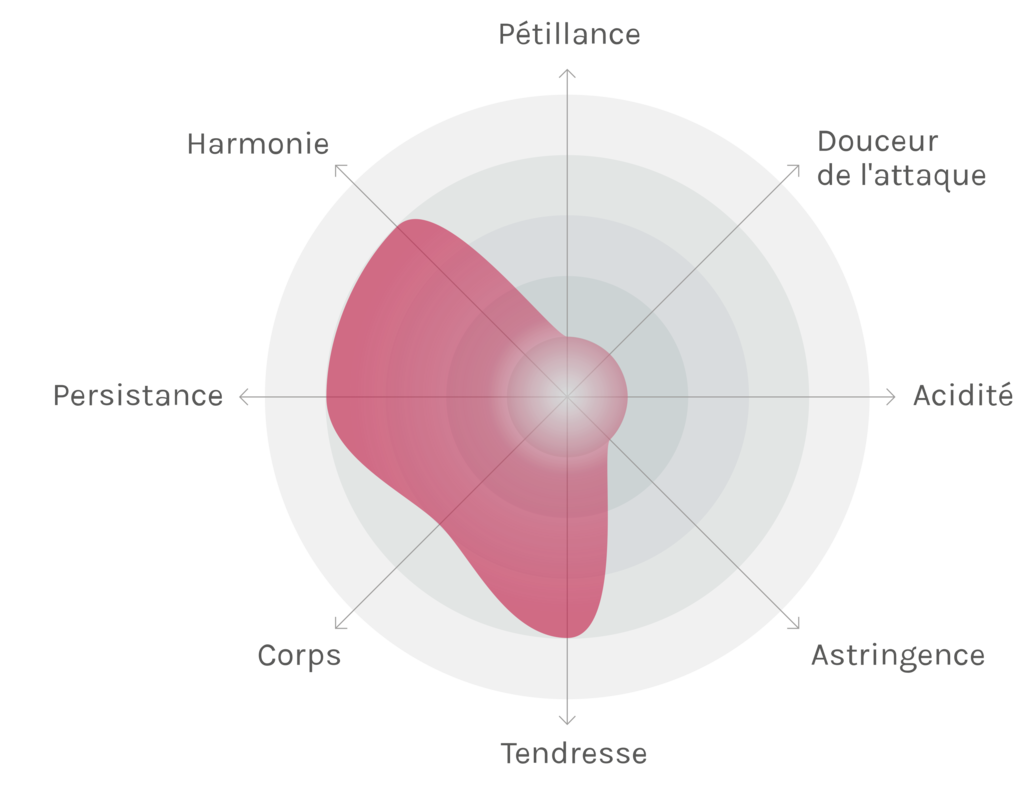 Spinnennetz-Chart