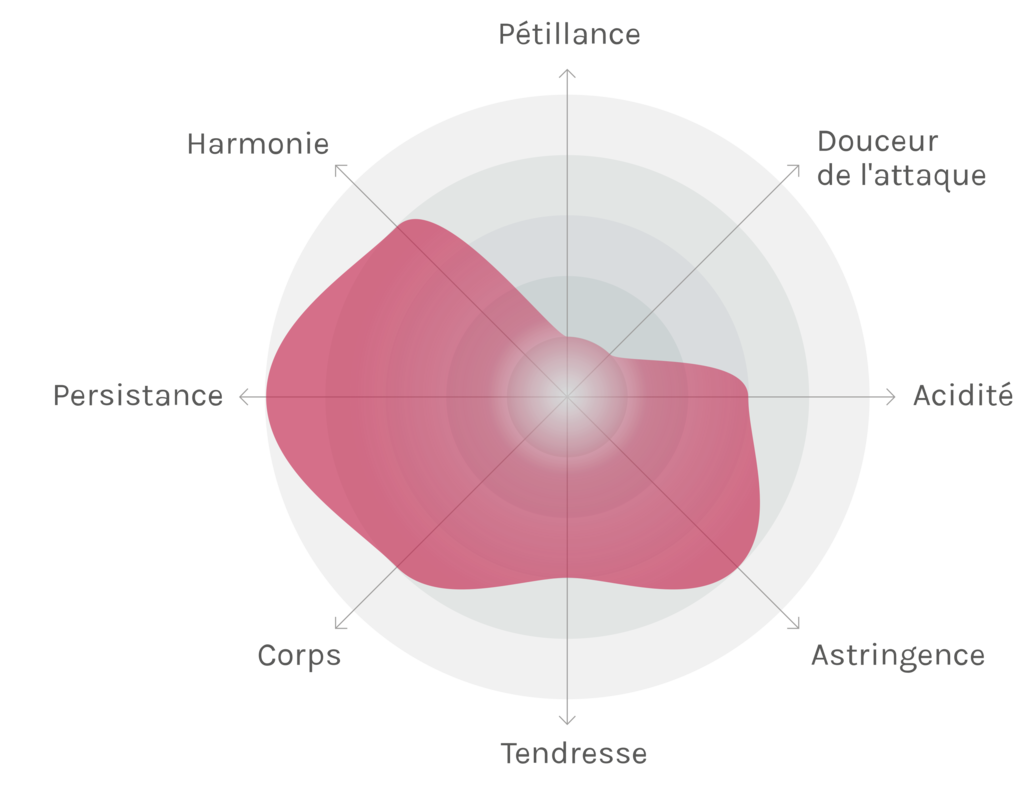 Spinnennetz-Chart