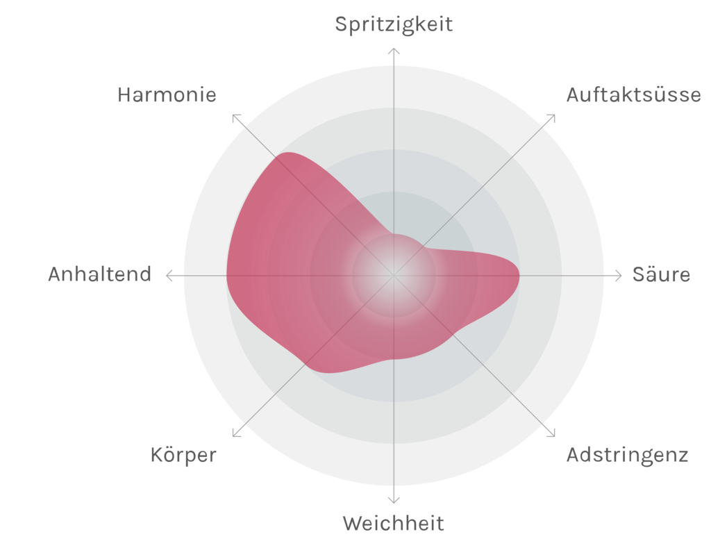 Spinnennetz-Chart