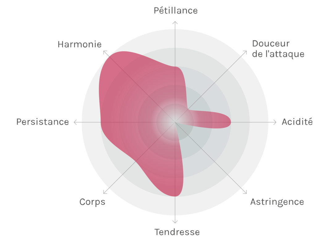 Spinnennetz-Chart