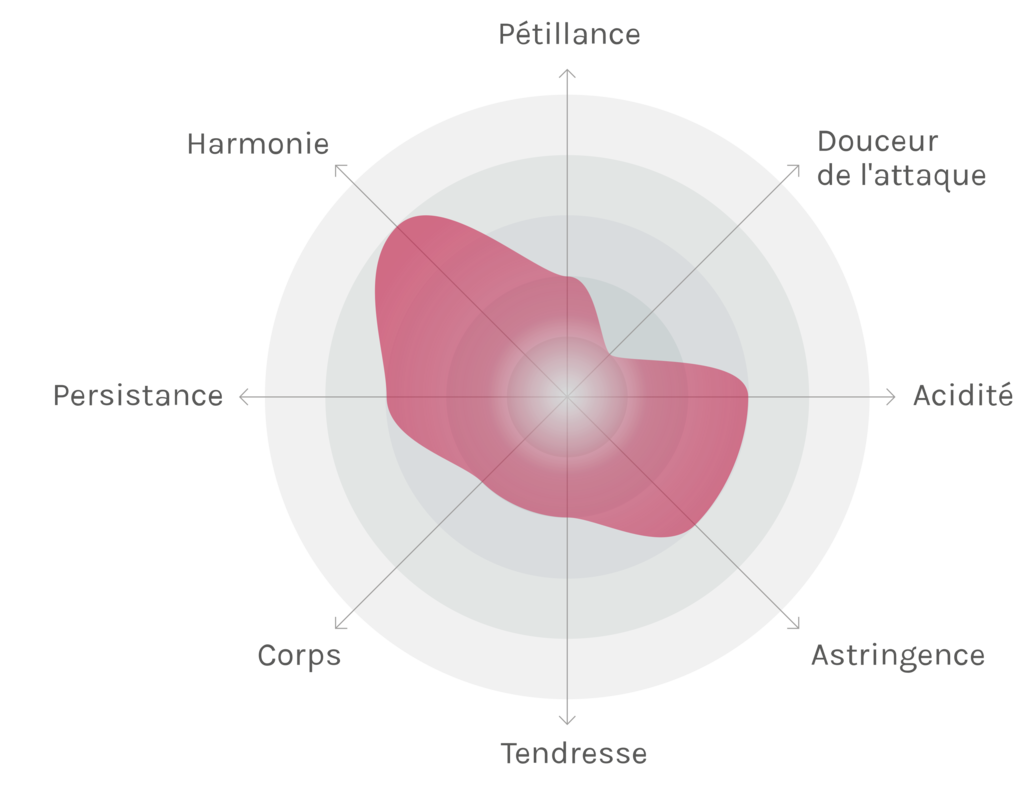 Spinnennetz-Chart