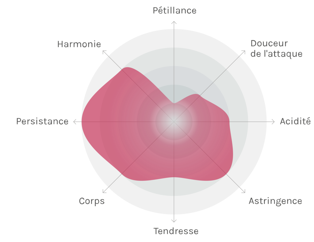 Spinnennetz-Chart