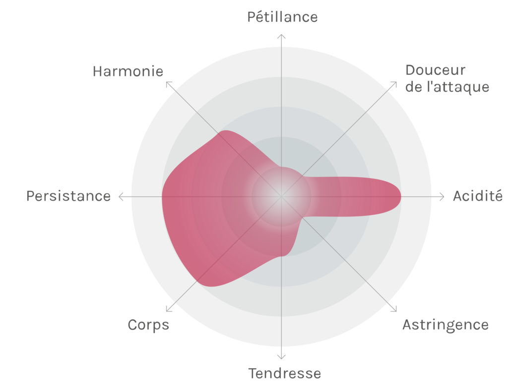 Spinnennetz-Chart