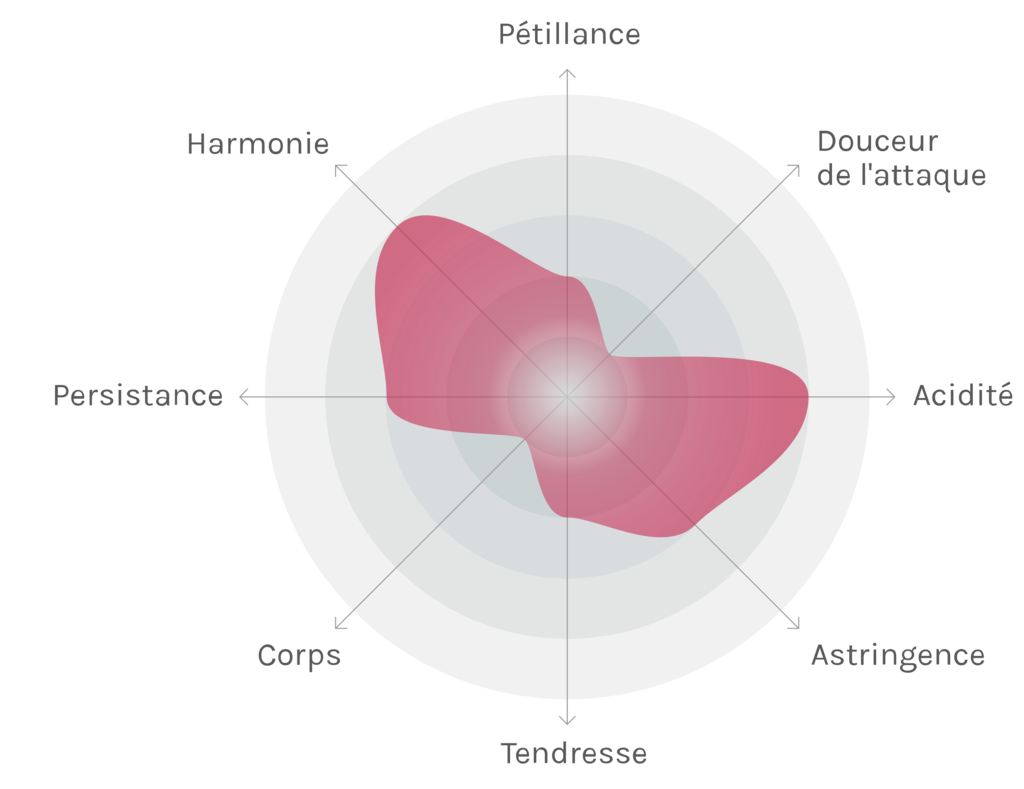 Spinnennetz-Chart