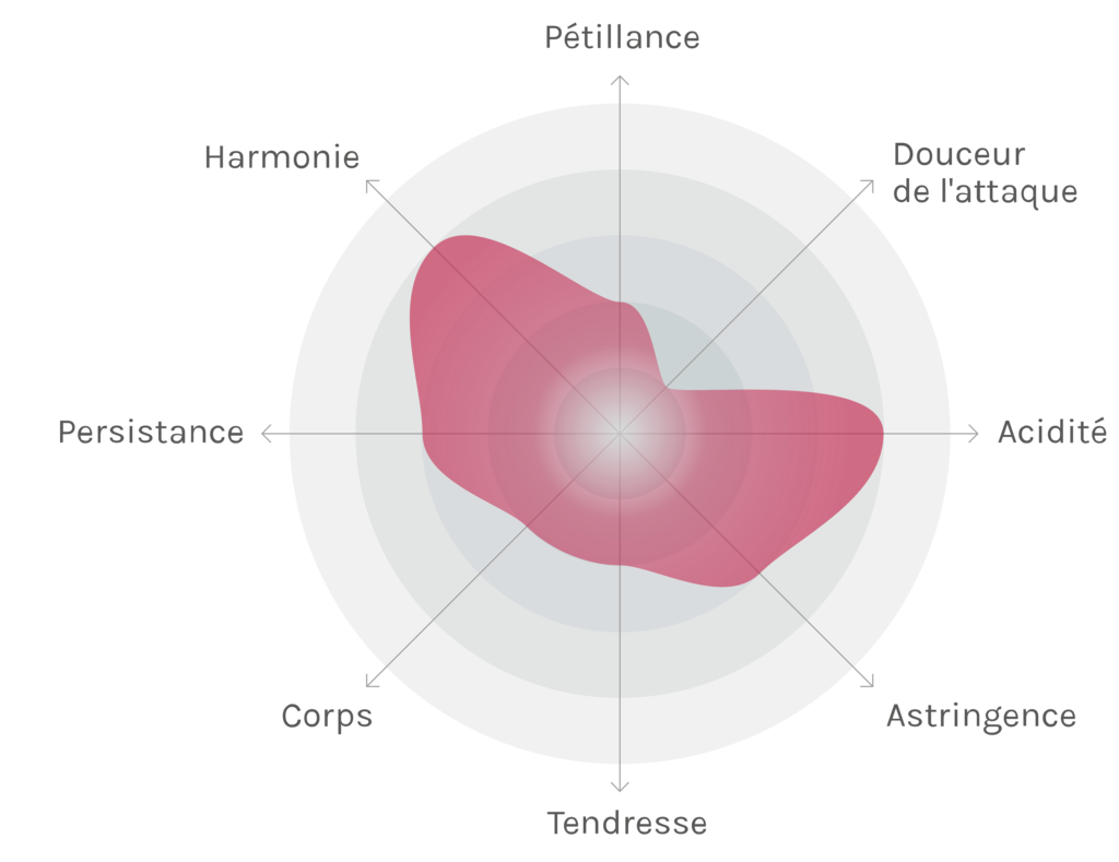 Spinnennetz-Chart