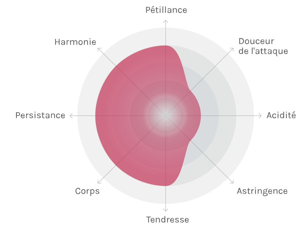 Spinnennetz-Chart