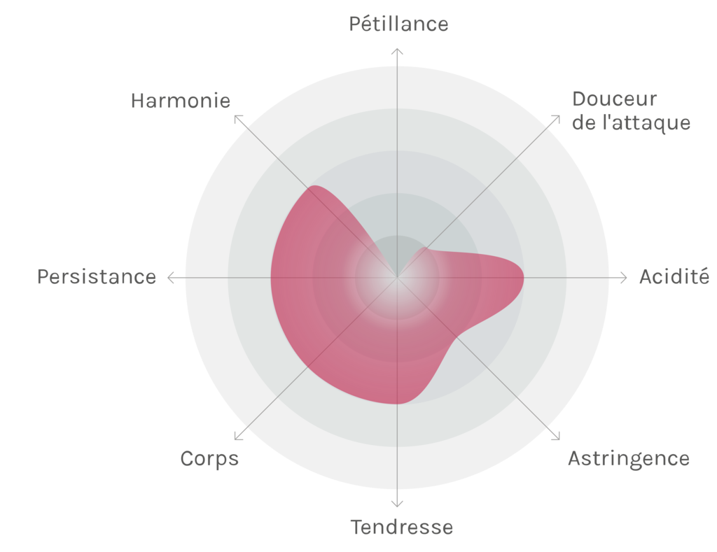 Spinnennetz-Chart