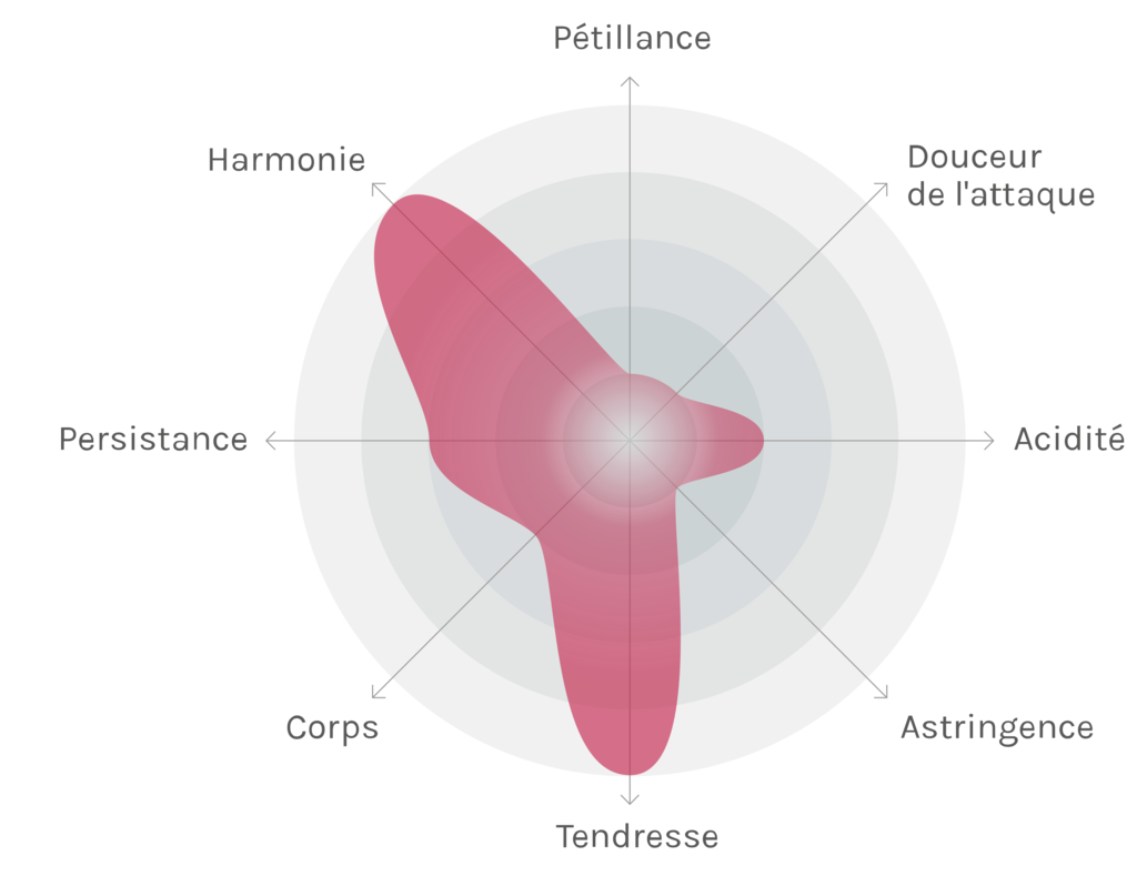 Spinnennetz-Chart