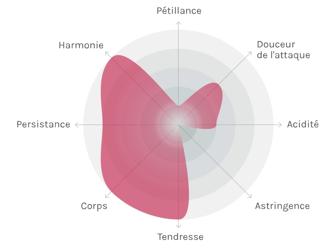 Spinnennetz-Chart