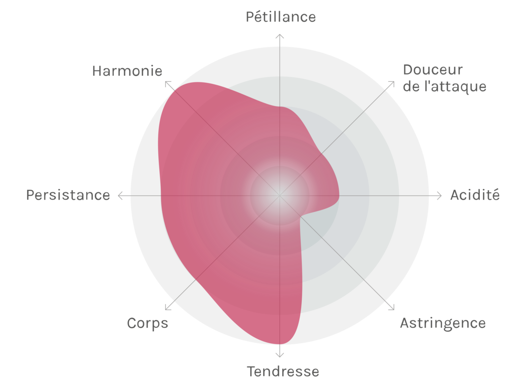 Spinnennetz-Chart