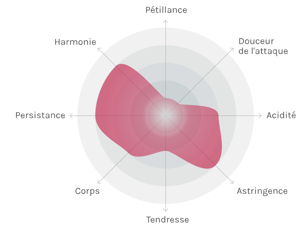 Spinnennetz-Chart