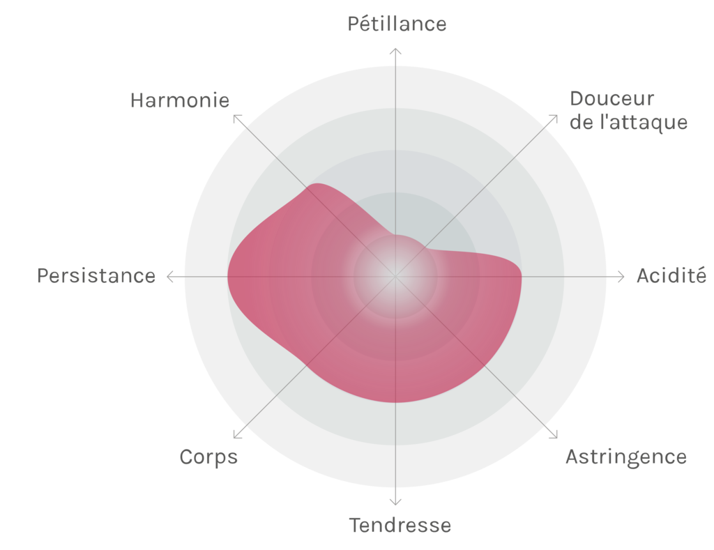 Spinnennetz-Chart